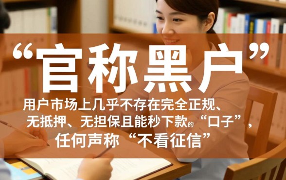 2026年不用审核的网贷哪里有