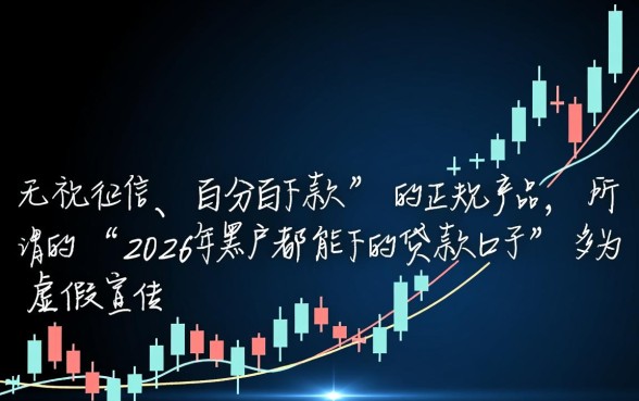2026年黑户都能下的贷款口子靠谱吗