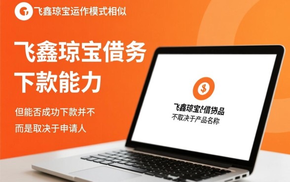 和飞鑫琼宝类似的能下款的口子吗