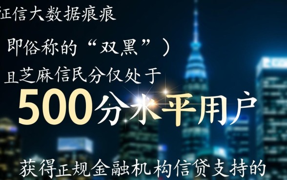 双黑芝麻分500能下款吗