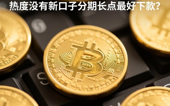 有没有新口子分期长点最好下款的