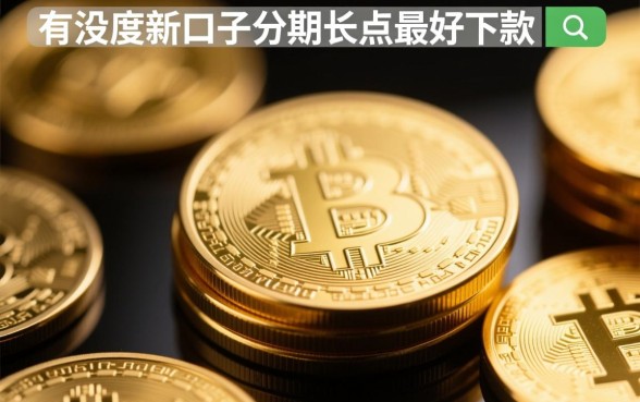 有没有新口子分期长点最好下款的