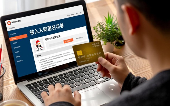 2026有哪些不查征信的口子