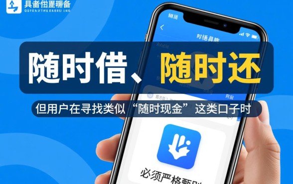 有没有像随时现金一类的贷款口子
