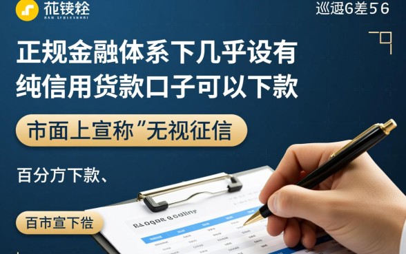 超级大黑户有什么口子可以下款啊