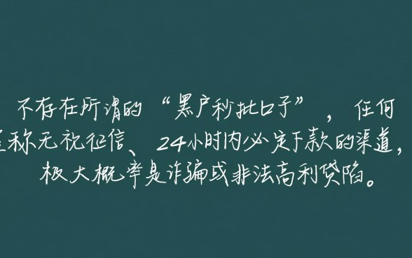 哪些是24小时审核黑户秒批口子