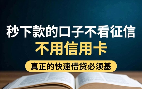 秒下款不看征信口子有哪些