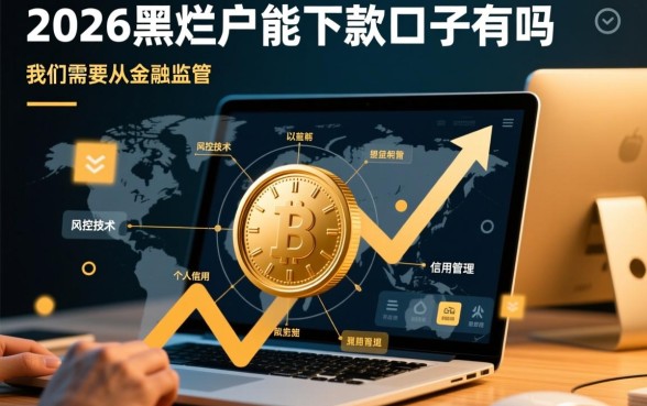 2026黑烂户能下款的口子有吗