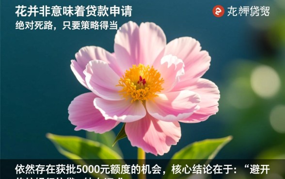 征信花也能下5000的口子有哪些,哪里借钱不看征信秒批 征信花也能下5000的口子有哪些