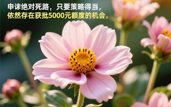 征信花也能下5000的口子有哪些,哪里借钱不看征信秒批 征信花也能下5000的口子有哪些