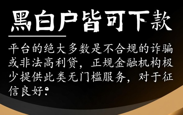 网上黑白户皆可申请的网贷口子吗
