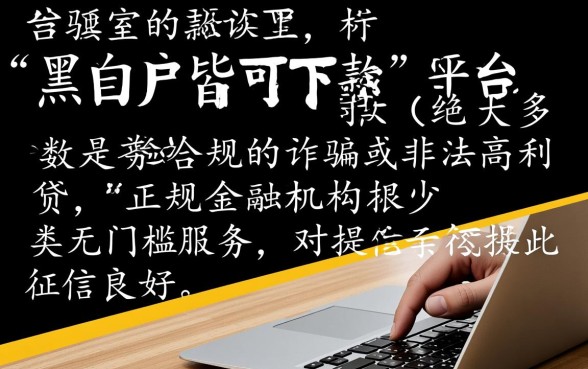 网上黑白户皆可申请的网贷口子吗