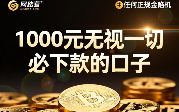 1000元无视一切必下款的口子有哪些