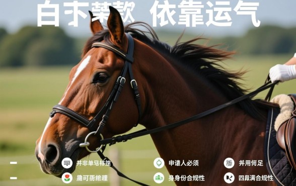 猎马白条下款需要满足哪些条件,容易申请吗 猎马白条下款需要满足哪些条件