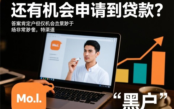 网贷黑户还有机会申请到贷款吗