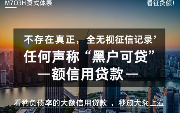 无视征信负债的大额贷款有哪些