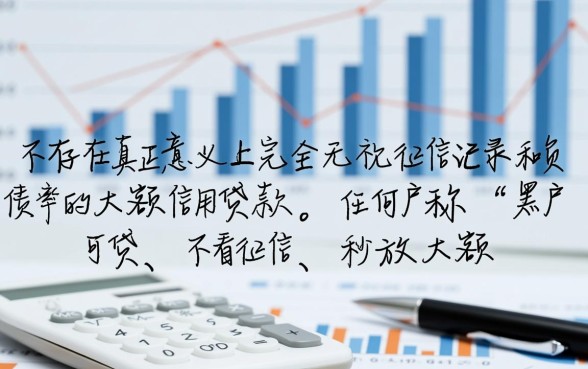 无视征信负债的大额贷款有哪些