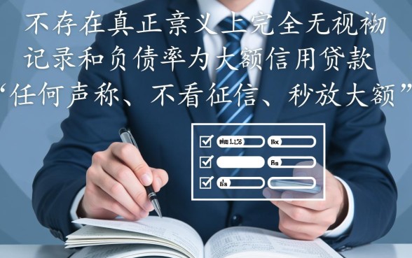 无视征信负债的大额贷款有哪些