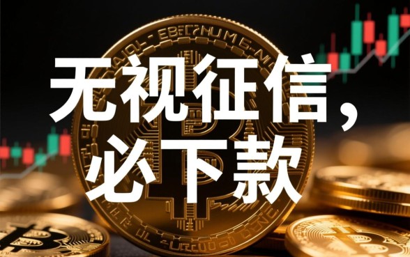 2026黑户呆账借款必下口子怎么申请