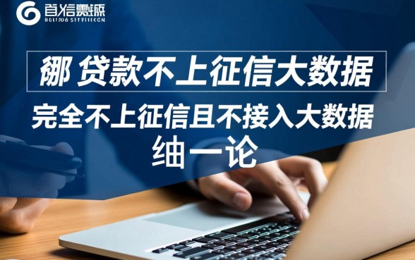 现在哪个贷款不上征信大数据的