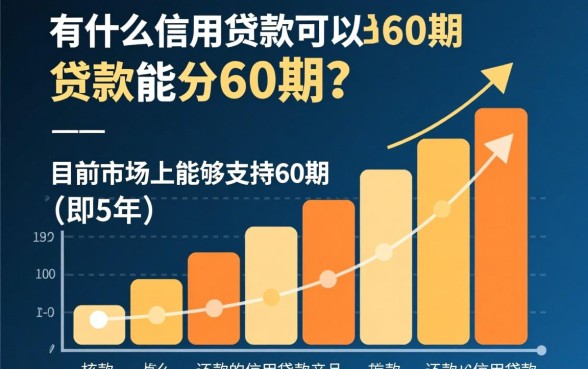 有什么信用贷款可以分60期的
