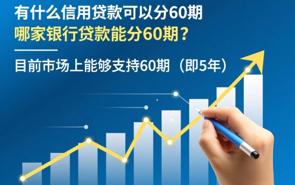 有什么信用贷款可以分60期的