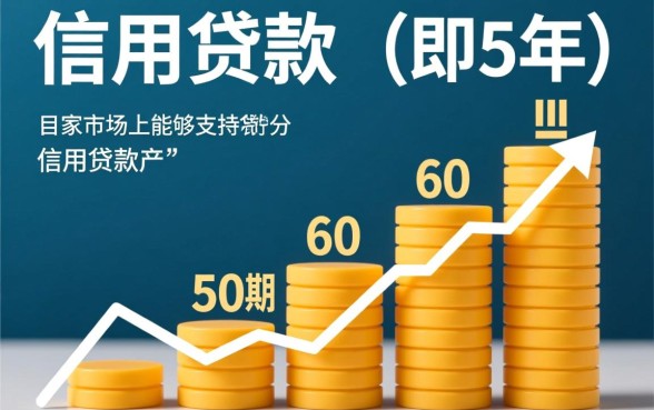 有什么信用贷款可以分60期的