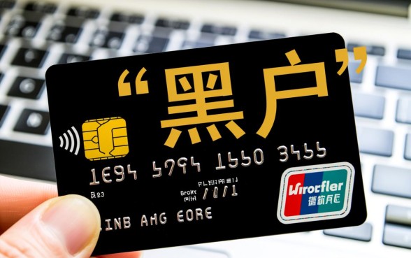 黑户用信用卡贷款的网贷有哪些
