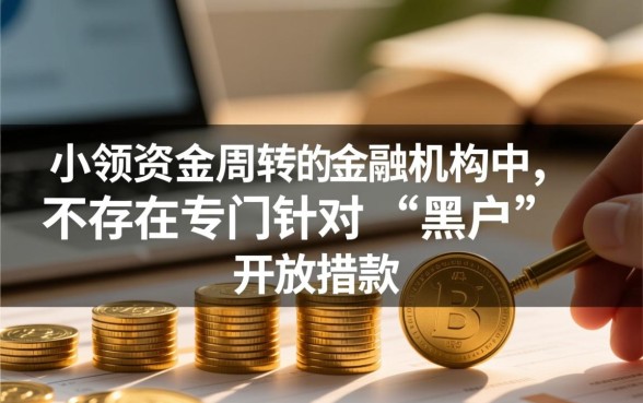 黑户哪个软件可以借款1000