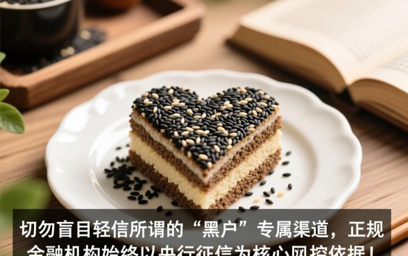 黑户芝麻分690能贷款吗