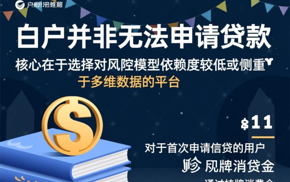 小额贷款白户也能下款的有哪些