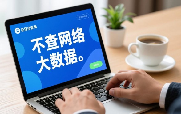 哪些贷款不查网络大数据的平台