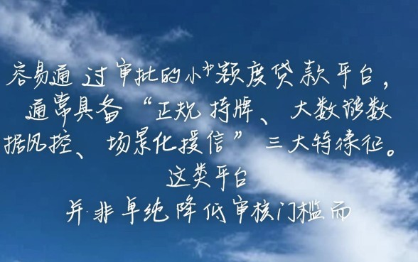 什么小额度贷款平台容易过审批