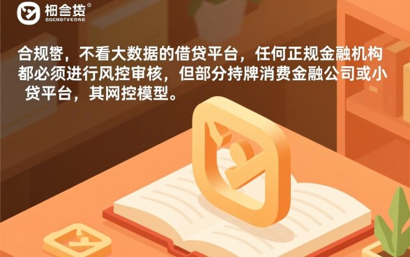 网上哪个平台好借钱不看大数据