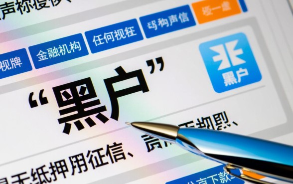 什么平台黑户也能借钱分期还款