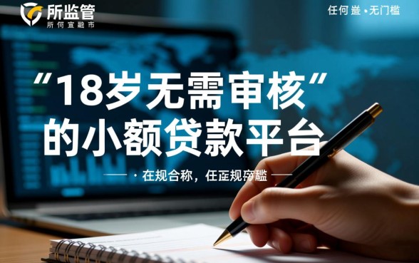 18岁无需审核的小额贷款平台有哪些