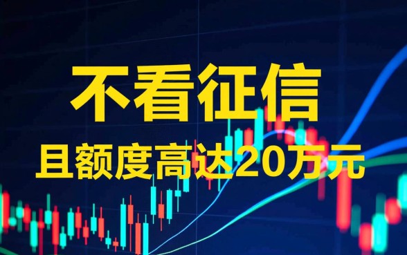 什么软件可以借20万不看征信