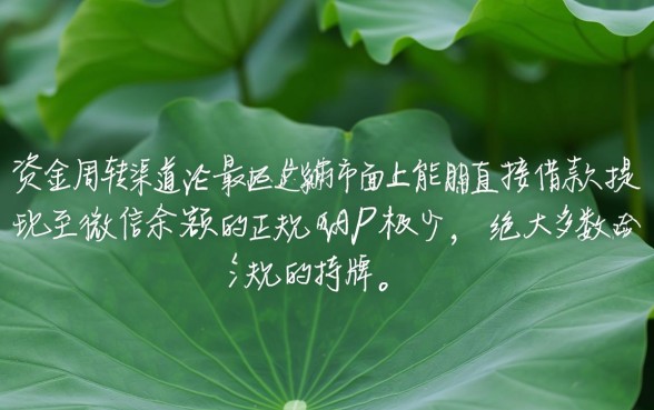 手机app哪里可以借钱到微信