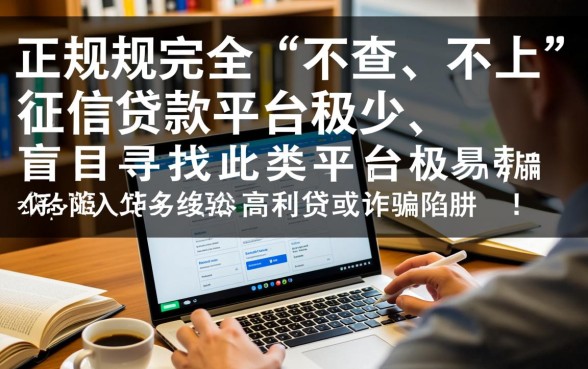 2026最新不查征信的贷款口子