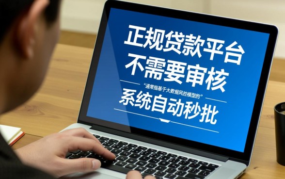 小额贷款有哪些平台不需要审核