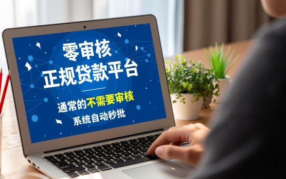 小额贷款有哪些平台不需要审核