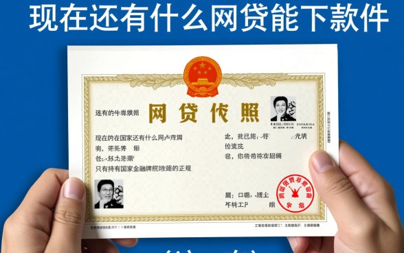 现在还有什么网贷能下款的软件