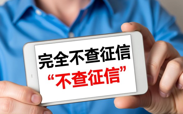 什么小额贷不查征信的呢能下款