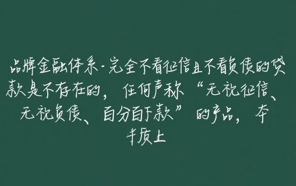 有没有不看征信不看负债的贷款