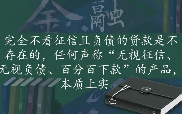 有没有不看征信不看负债的贷款