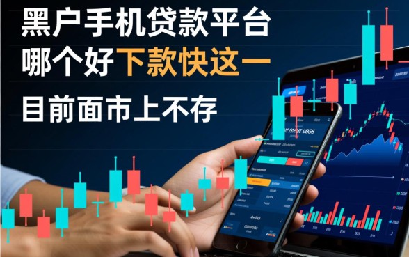 黑户手机贷款平台哪个好下款快
