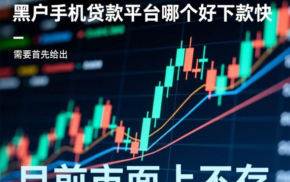 黑户手机贷款平台哪个好下款快