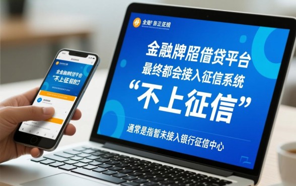 有哪些正规借钱平台不上征信的