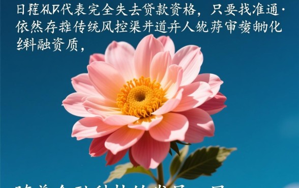 2026征信花可以下款的口子吗