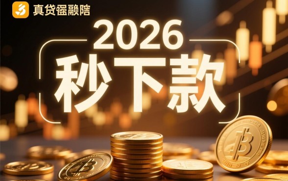 2026有什么秒下款的口子,急需资金哪里借不用审核 2026有什么秒下款的口子